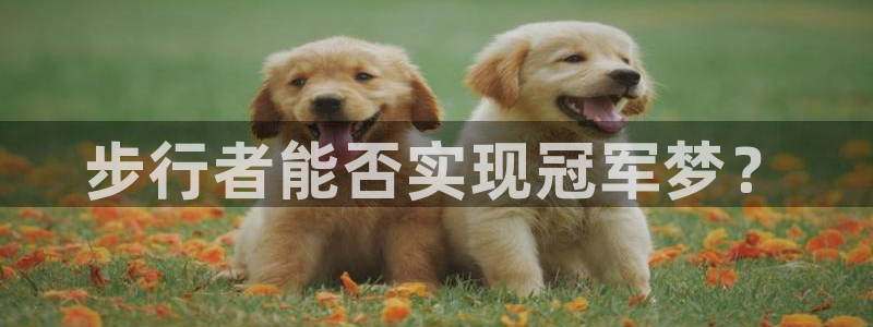 壹号app下载