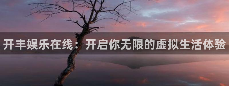 壹号下载安装