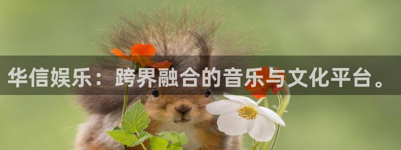 先锋娱乐网址