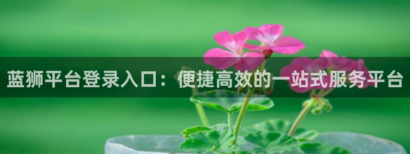 壹号电子娱乐app下载最新版本安装