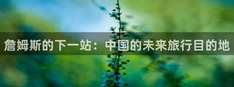 先锋娱乐官网入口