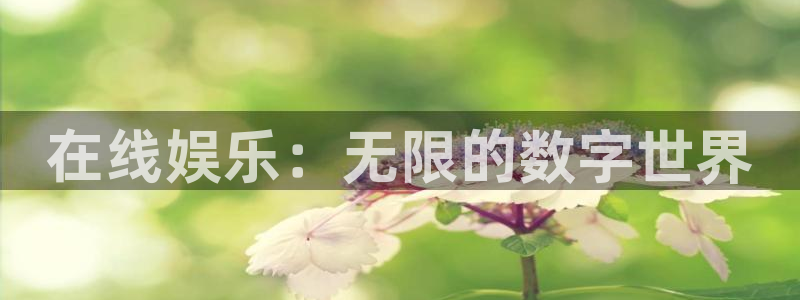 先锋娱乐app下载