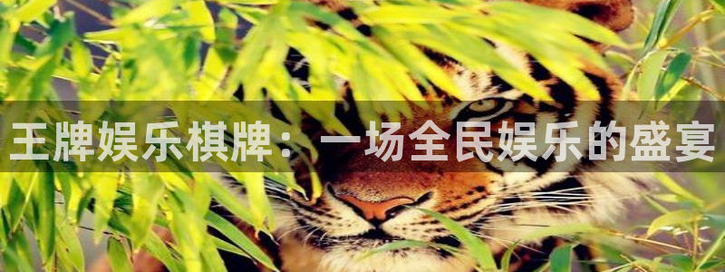 先锋娱乐app下载安装
