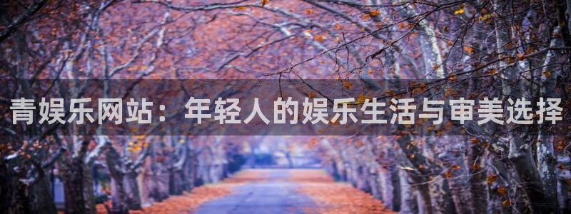 先锋娱乐,apk