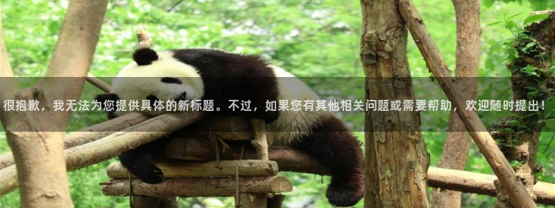 壹号大舞台下载