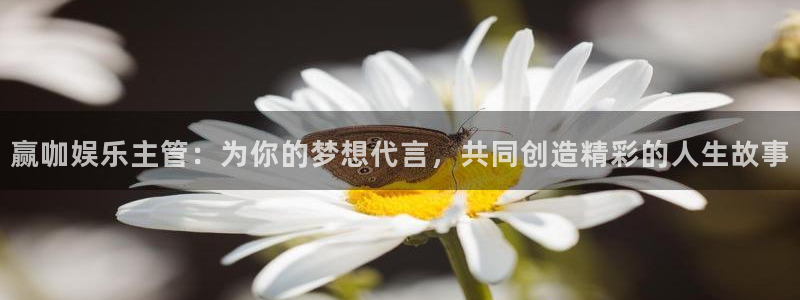 下载先锋娱乐app