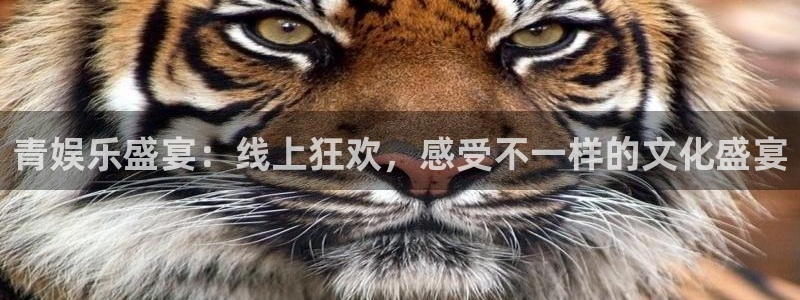 先锋娱乐 - ng大舞台,有梦你就来