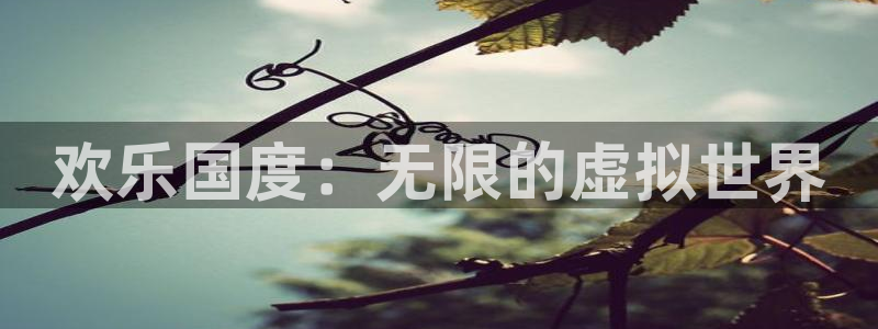 先锋娱乐平台app下载安装