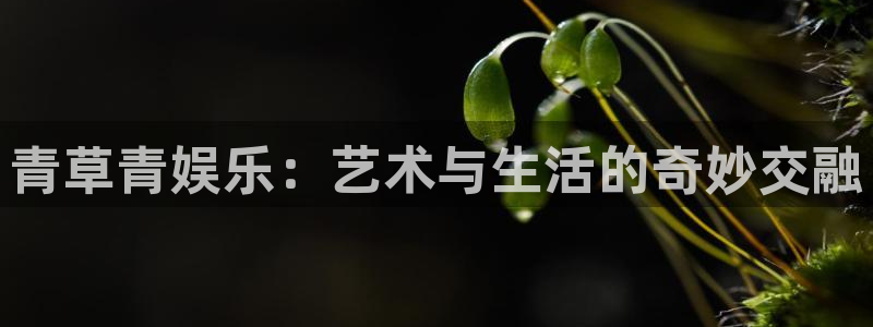 下载先锋娱乐app