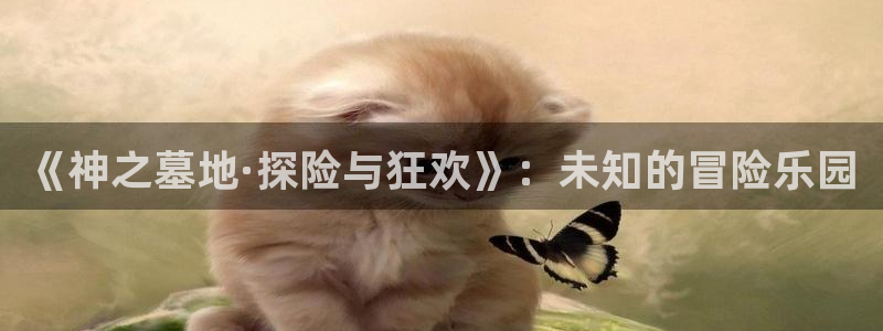 壹号app下载官网娱乐