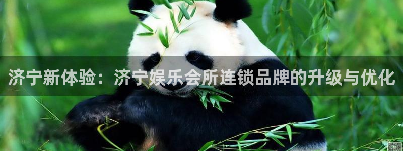 壹号电子娱乐app下载官网