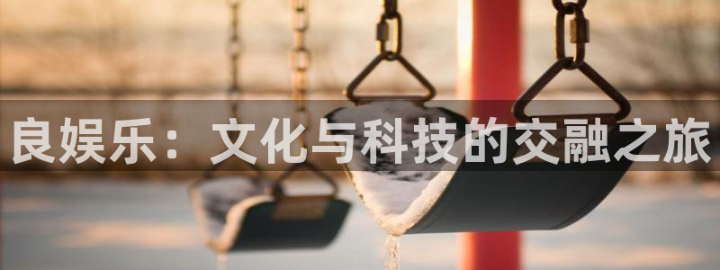 先锋娱乐app下载安装：良娱乐：文化与科技的交融之旅