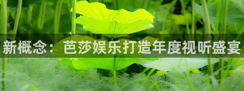 先锋娱乐官方app下载安装：新概念：芭莎娱乐打造年度视听盛宴