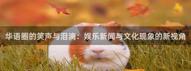 伟德国际集团 壹号(one game)：华语圈的笑声与泪滴：娱乐新闻与文化现象的新视角