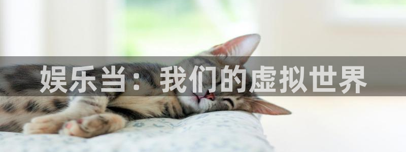 先锋娱乐退款怎么退：娱乐当：我们的虚拟世界