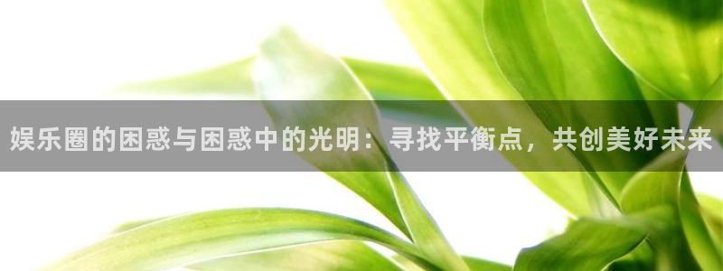 先锋娱乐,apk.：娱乐圈的困惑与困惑中的光明：寻找平衡点，共创美好未来