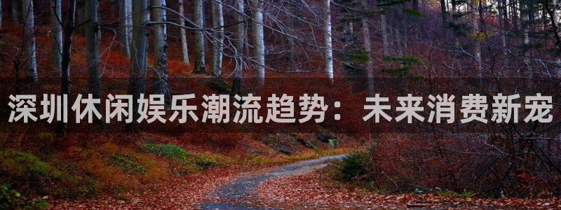 壹号电子娱乐app：深圳休闲娱乐潮流趋势：未来消费新宠
