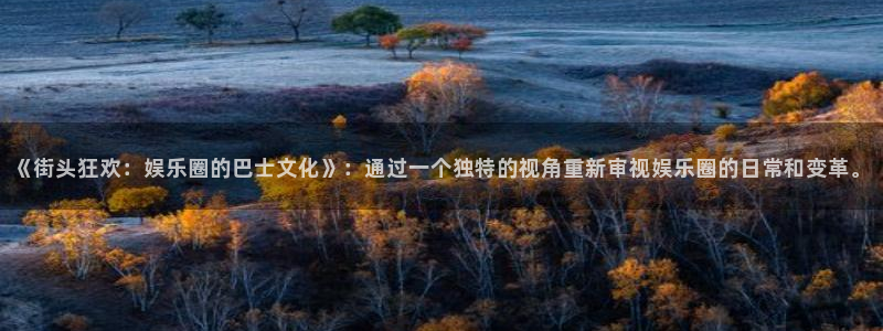 先锋娱乐官网：《街头狂欢：娱乐圈的巴士文化》：通过一个独特的视角重新审视娱乐圈的日常和变革。
