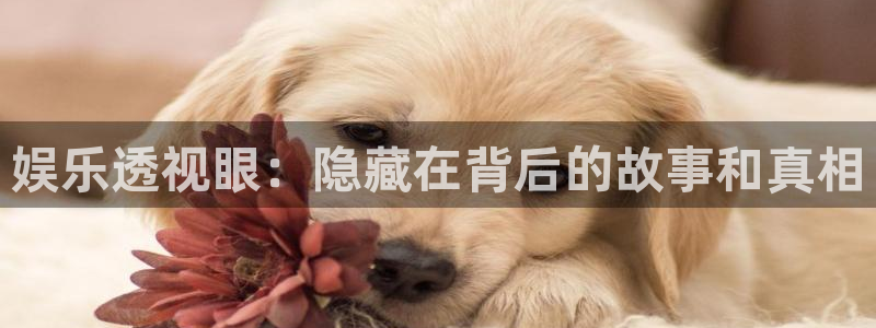 先锋娱乐官网下载：娱乐透视眼：隐藏在背后的故事和真相