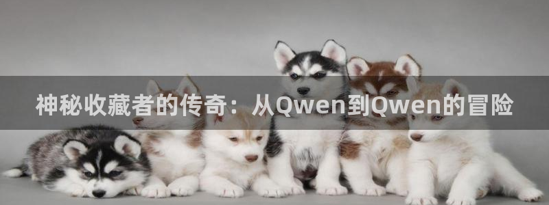 先锋娱乐app入口：神秘收藏者的传奇：从Qwen到Qwen的冒险