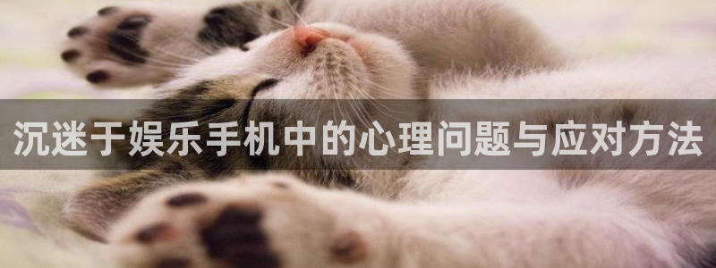 先锋娱乐网站：沉迷于娱乐手机中的心理问题与应对方法