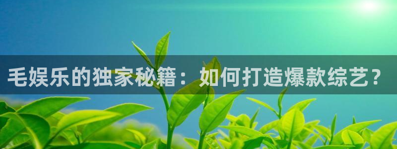 先锋娱乐app下载安装：毛娱乐的独家秘籍：如何打造爆款综艺？