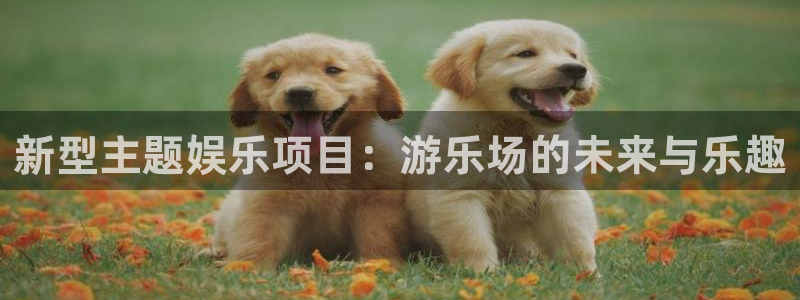 先锋娱乐app官网：新型主题娱乐项目：游乐场的未来与乐趣