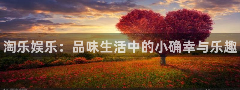 先锋娱乐网站：淘乐娱乐：品味生活中的小确幸与乐趣