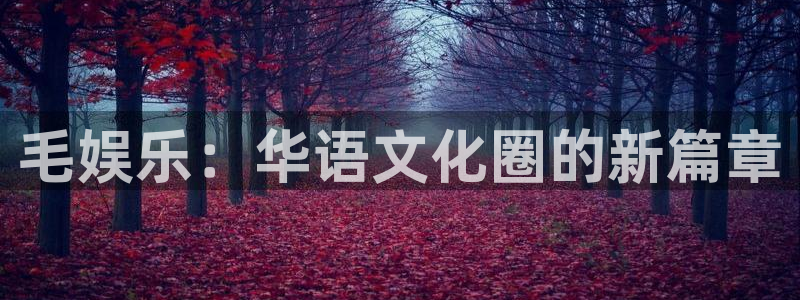 先锋娱乐com：毛娱乐：华语文化圈的新篇章