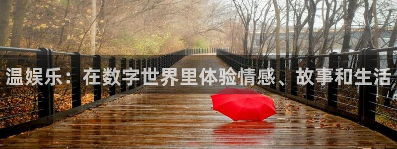下载先锋娱乐app：温娱乐：在数字世界里体验情感、故事和生活