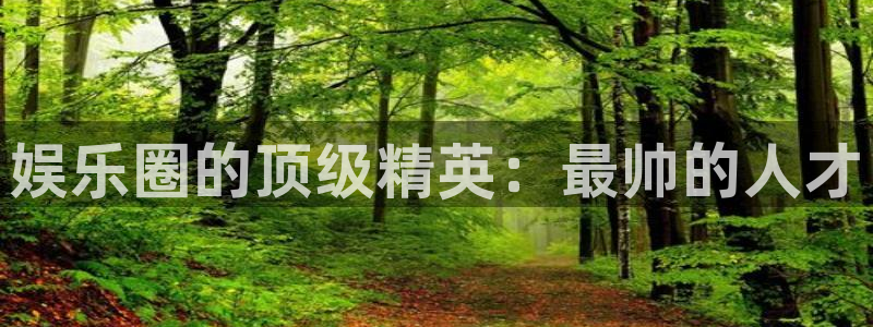 壹号下载安装：娱乐圈的顶级精英：最帅的人才