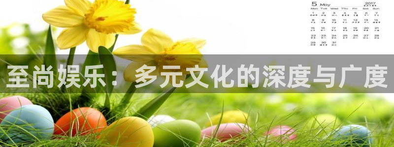 壹号app官网版下载：至尚娱乐：多元文化的深度与广度