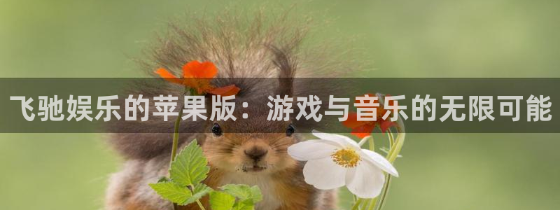 壹号官方app下载安装：飞驰娱乐的苹果版：游戏与音乐的无限可能