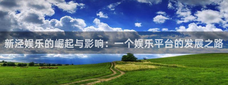 先锋娱乐app：新泾娱乐的崛起与影响：一个娱乐平台的发展之路